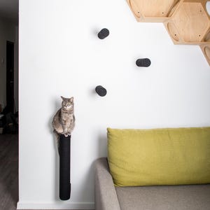 May include: A gray cat sitting on a black scratching post mounted on a white wall. The scratching post is made of sisal rope. There are three black round cat scratching posts on the wall. A light green couch with a gray cushion is in the background.