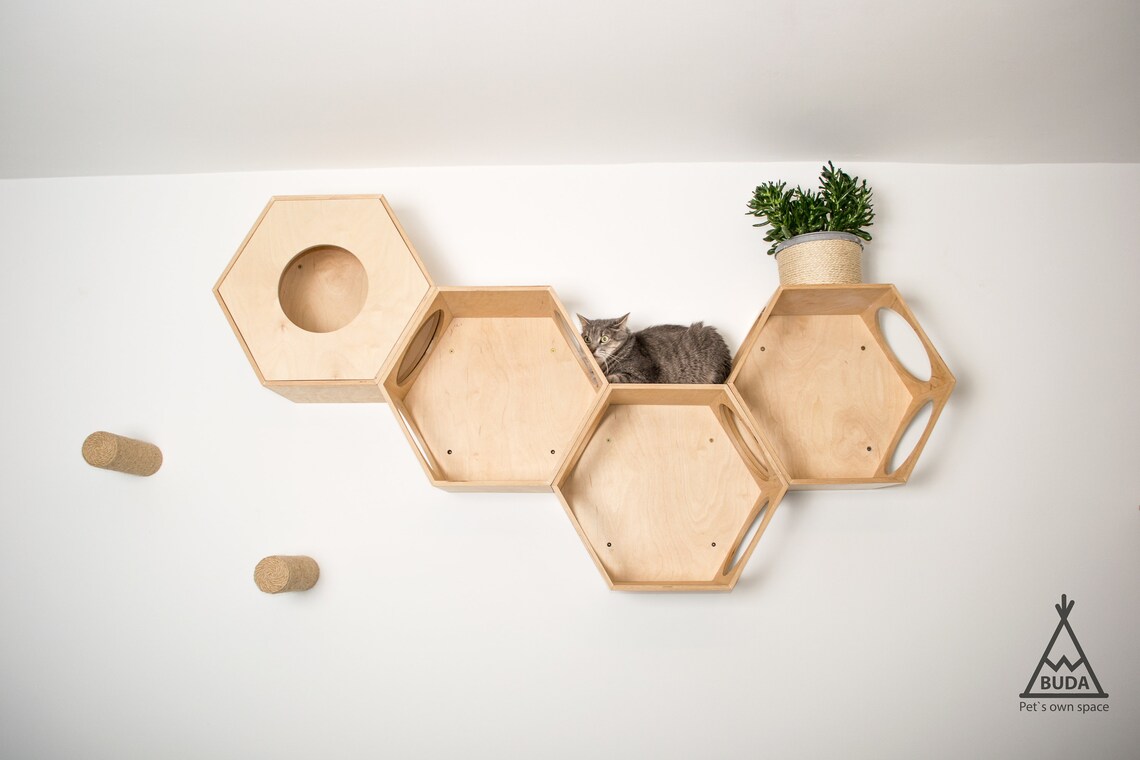Closed Cat Hexagon Wall Cat Hexagon Shelves Hexagon Cat Etsy
