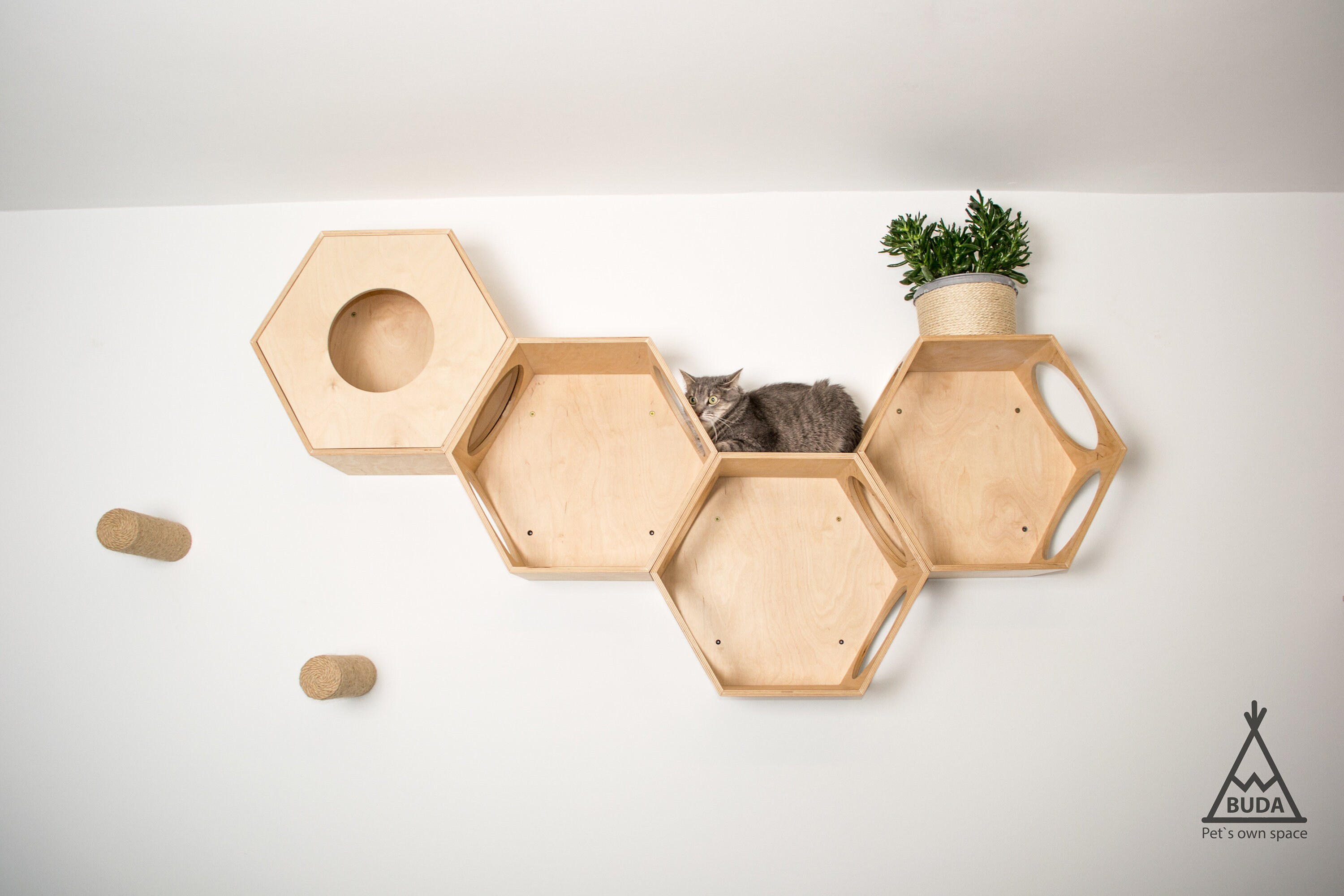 Closed Cat Hexagon Wall Cat Hexagon Shelves Hexagon Cat Etsy Canada