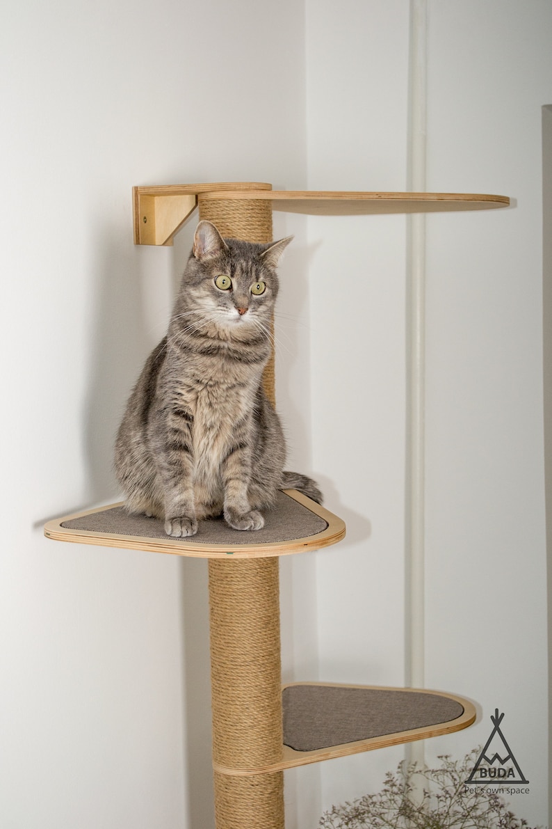 Puede incluir: Un gato atigrado gris se sienta en una plataforma de un alto &aacute;rbol para gatos de madera. El &aacute;rbol para gatos tiene un poste envuelto en sisal y m&uacute;ltiples plataformas. El &aacute;rbol para gatos est&aacute; en una esquina de una habitaci&oacute;n con paredes blancas.