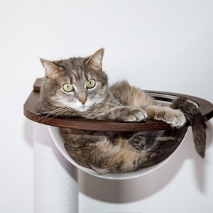Cama para gatos con estante: Cama para gatos tipo árbol, Cama para gatos (36 x 36 cm), Burbuja acrílica, Hamaca tipo árbol para gatos