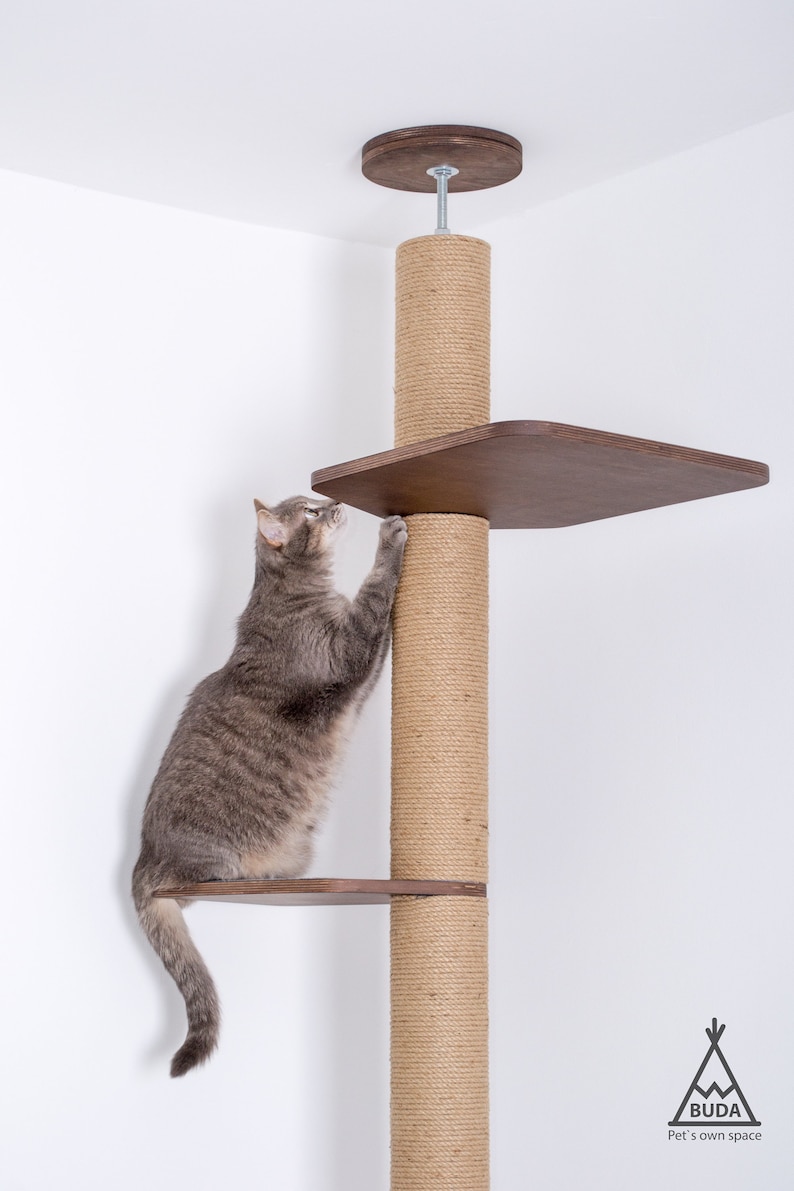 May include: A gray tabby cat climbing a wooden cat tree with two platforms and a sisal scratching post. The cat tree is attached to the ceiling. The cat is reaching for the top platform. The brand logo is visible.