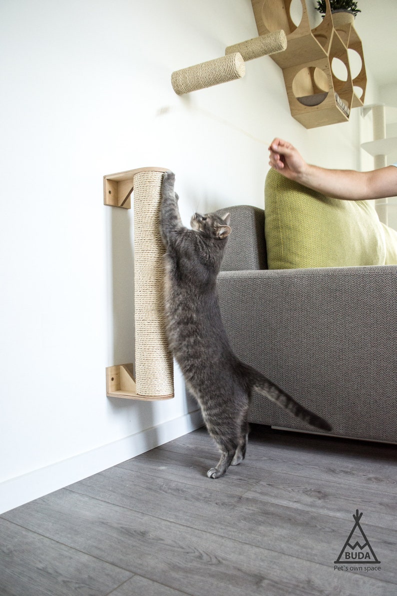 Pu&ograve; includere: Un gatto grigio che gratta un tiragraffi rivestito in sisal montato su una parete. Il tiragraffi &egrave; in legno e ha una finitura naturale. Il gatto sta guardando in alto un giocattolo che viene tenuto da una mano.