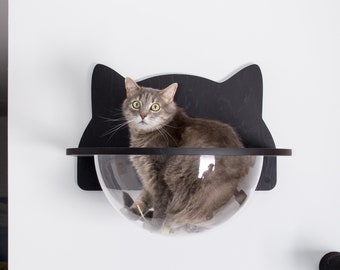 Acrylic Bubble Cat Shelf: Modern Wall Perch, black cat furniture, funny design, scratcher, steps.