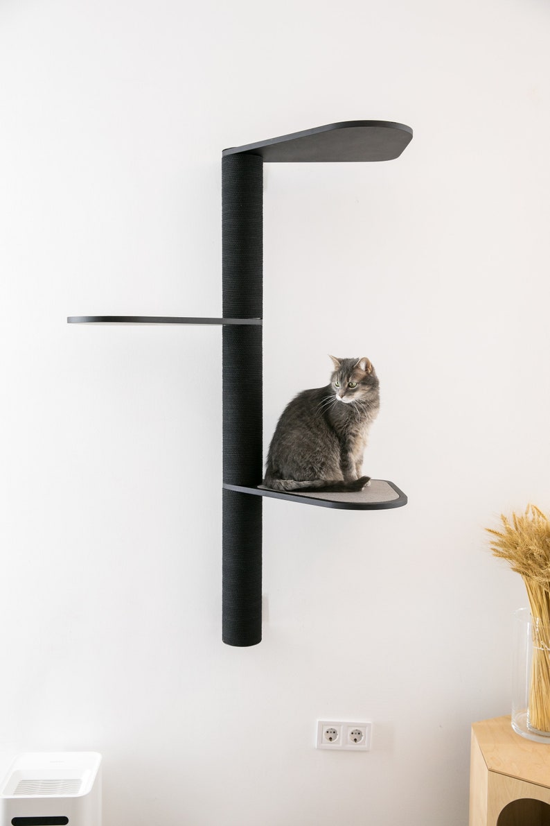May include: A black cat tree with a gray cat sitting on a platform. The cat tree has three platforms and a tall scratching post. The cat tree is mounted on a white wall.