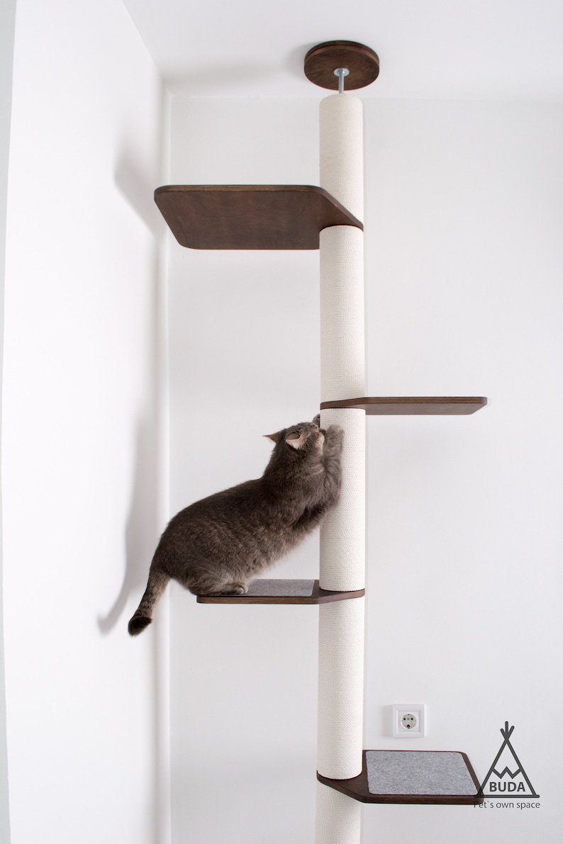 May include: A modern cat tree with a white sisal scratching post and dark brown wooden platforms. A gray cat is climbing the tree. The cat tree is mounted to the ceiling. The cat tree has the text "BUDA Pet's own space".