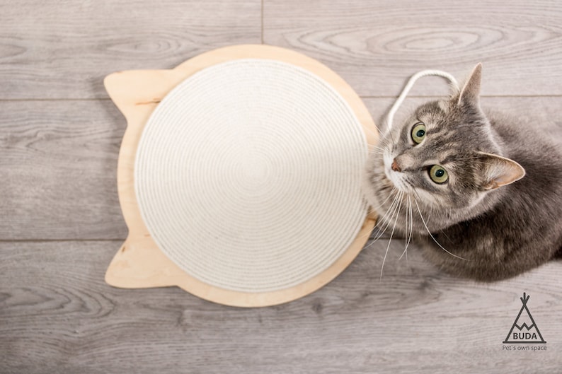 Cat Scratcher and Cat Bed and Cat Toys (3 in 1) cat shape, plywood base and cotton rope. Modern cat furniture cat scratching cat scratch image 1