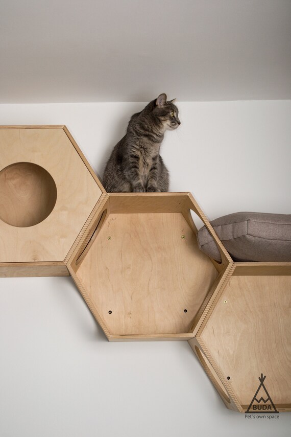 hexagon cat shelf
