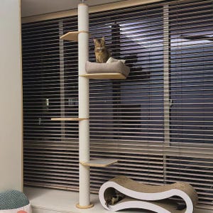 Cat window perch, cat tree, cat tower, cat window patio, cat window bed, cat window shelf, cat window seat, cat window hammock, cat lounger