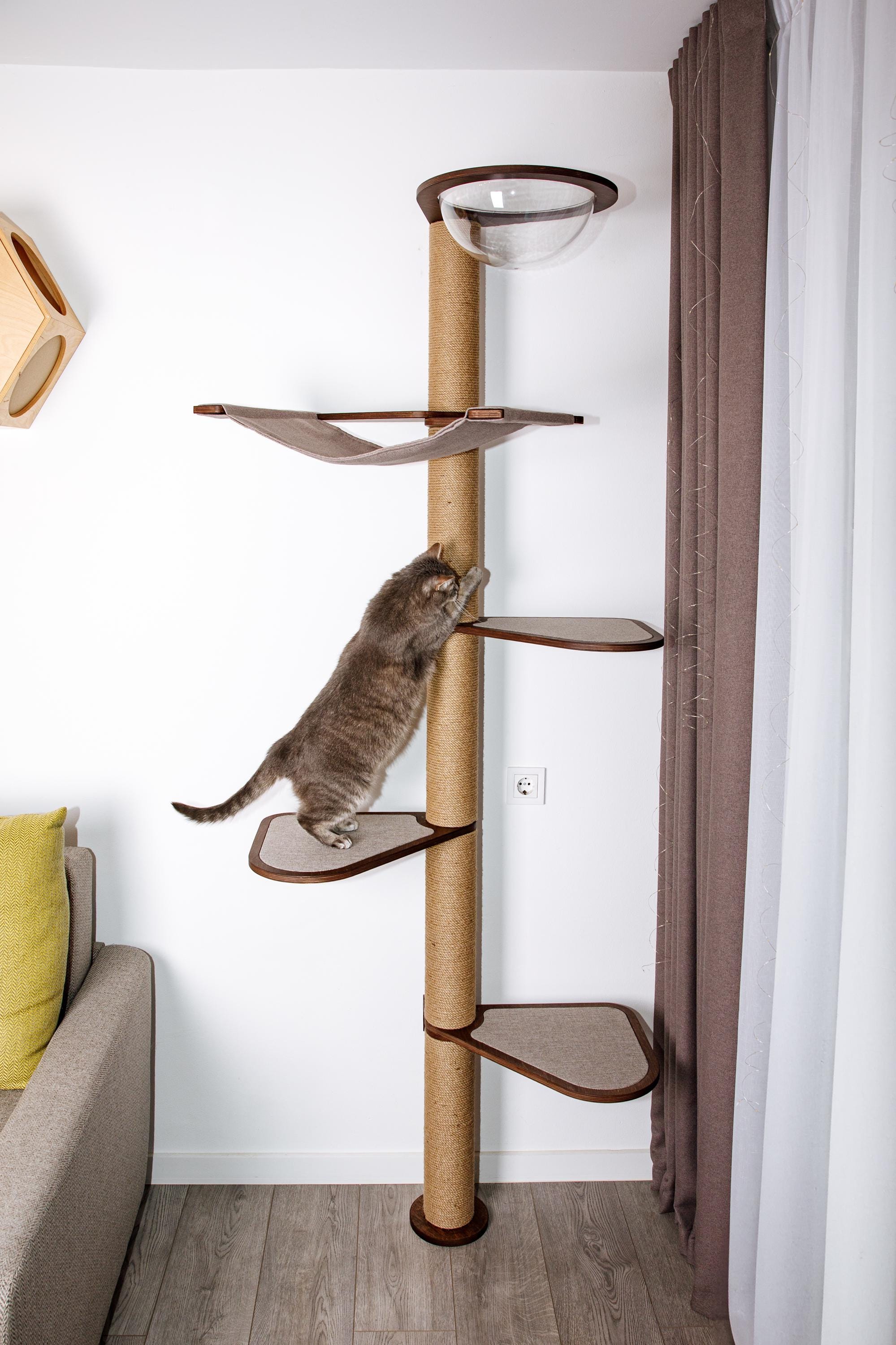 Tall cat tree with clear Cat tower with cat Cat tree with  hammock, cat tree with basket, cat tree for Cat