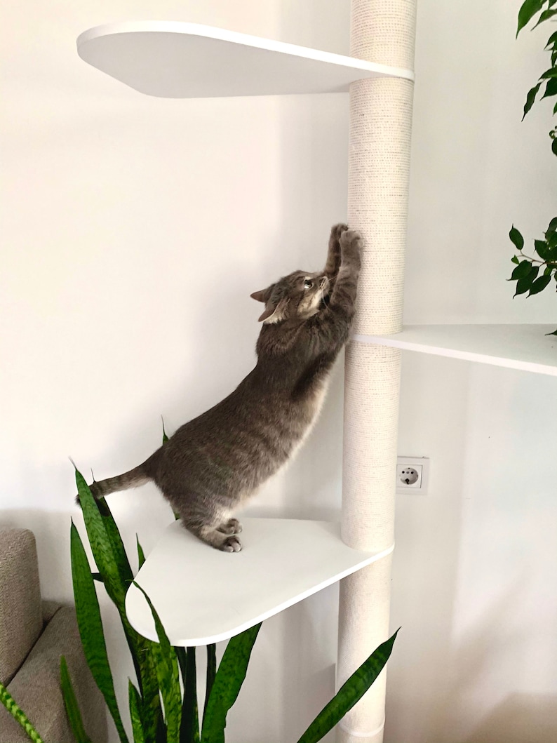 Puede incluir: Un gato gris rascando un &aacute;rbol para gatos blanco con un poste para rascar de sisal beige. El &aacute;rbol para gatos tiene varias plataformas blancas. El gato est&aacute; de pie en una plataforma blanca con un borde redondeado. Una planta verde est&aacute; en primer plano.