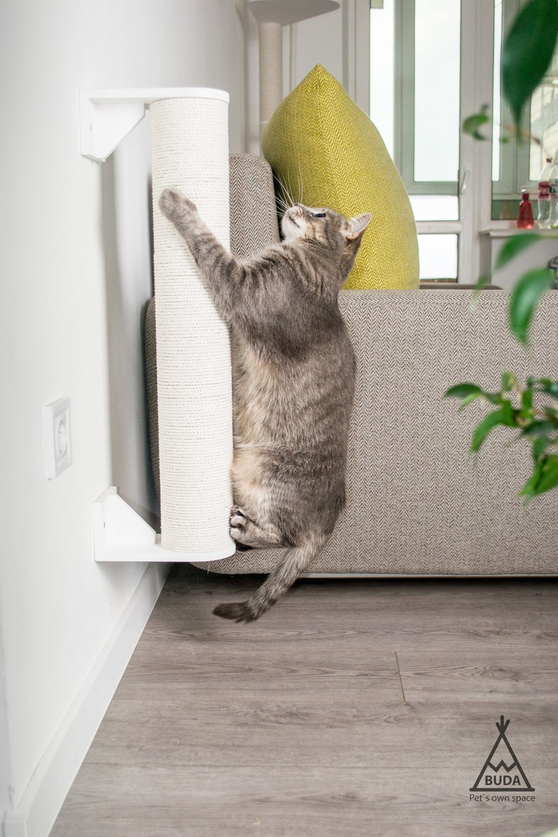 Pu&ograve; includere: Un gatto tabby grigio che gratta un tiragraffi bianco montato su una parete. Il tiragraffi &egrave; fatto di corda di sisal e ha una staffa bianca. Il gatto &egrave; in piedi su un divano grigio con un cuscino verde.