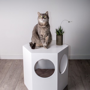 2-in-1 Cat House Nightstand: Modern Wooden Cat Bed