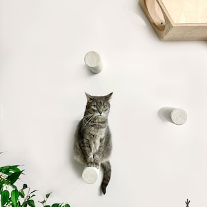Puede incluir: Un gato atigrado gris está posado sobre una percha cilíndrica blanca fijada a una pared blanca. Se ven dos perchas adicionales. Una casa de gato de madera con aberturas circulares está en el fondo. El logotipo "BUDA Pet's own space" está en la parte inferior derecha.