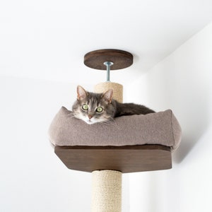 Puede incluir: Un gato atigrado gris relajándose en una plataforma de árbol para gatos marrón con un cojín beige. El árbol para gatos está sujeto al techo con un soporte de madera y tiene un poste para rascar cubierto de sisal.