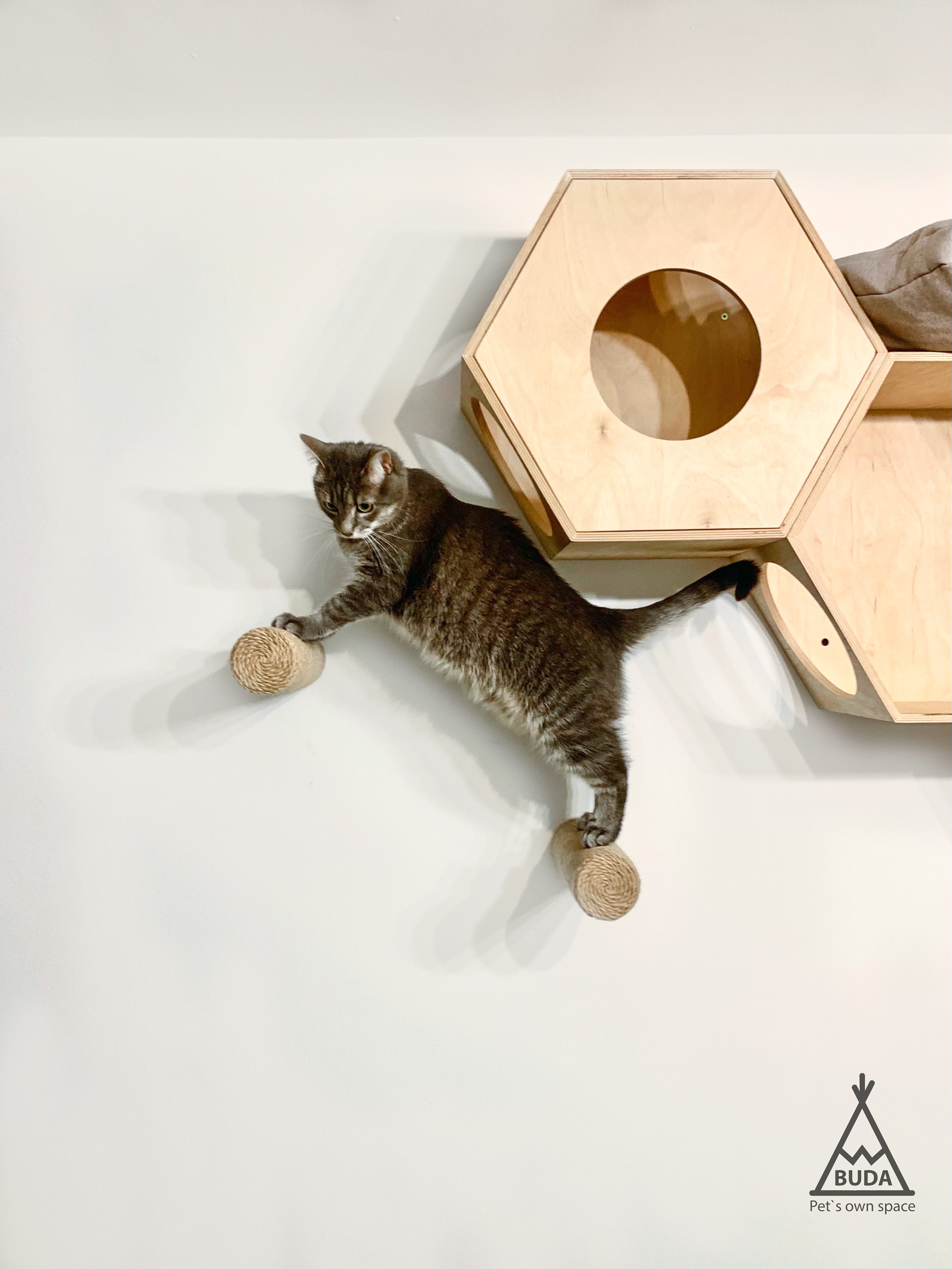 cat wall steps