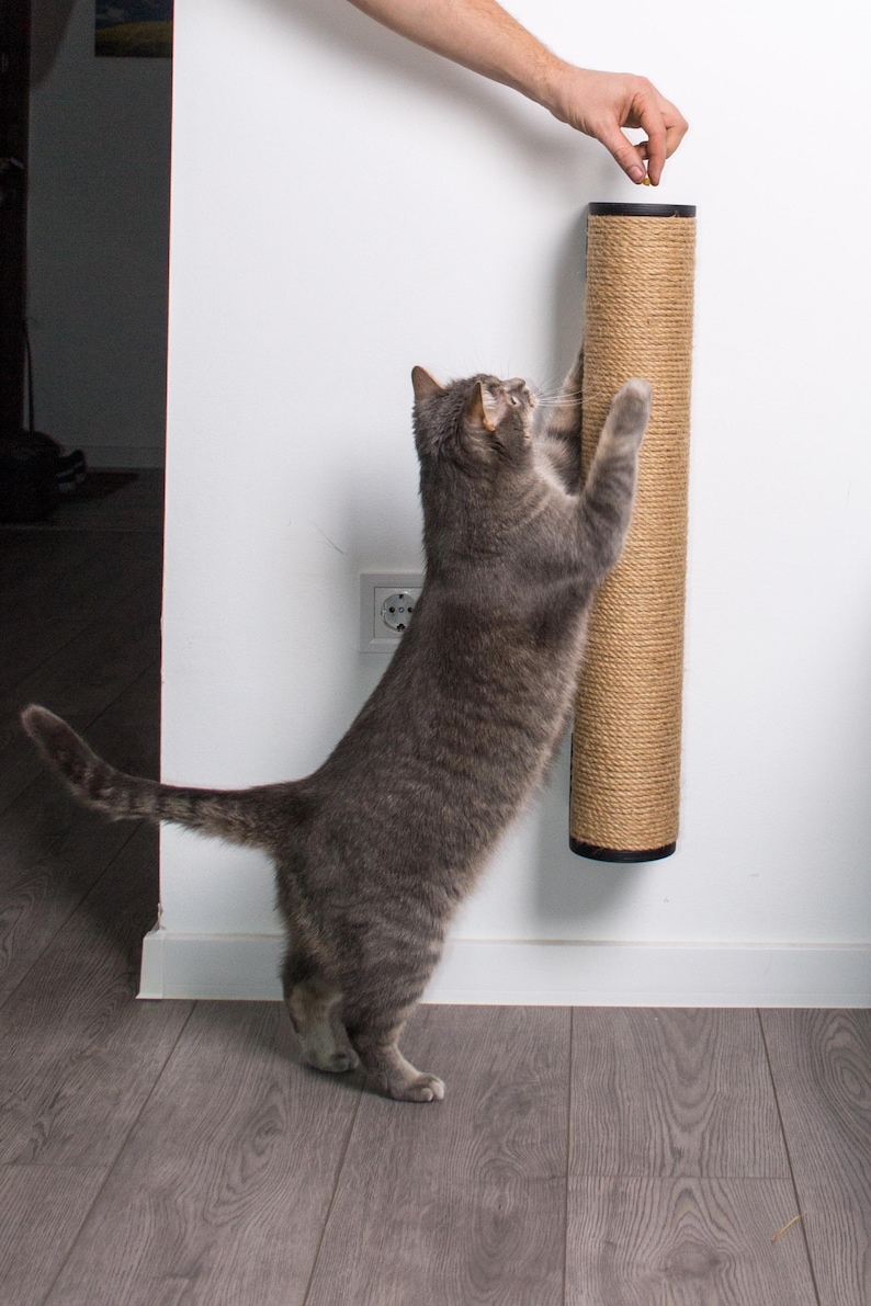 Pode incluir: Um gato tigrado cinza arranhando um arranhador coberto de sisal montado em uma parede branca. O arranhador tem aproximadamente 38 cm de altura e uma base preta.