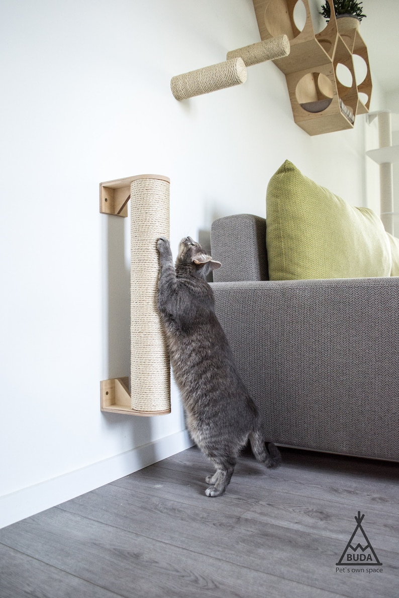 Pu&ograve; includere: Un gatto grigio che gratta un tiragraffi rivestito in sisal montato su una parete. Il tiragraffi &egrave; in legno e ha una finitura naturale. Il gatto &egrave; in piedi su un pavimento in legno grigio.