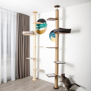 Könnte beinhalten: Zwei hohe Katzenbäume mit Sisal-bekleideten Pfosten und mehreren Plattformen. Die Bäume sind an der Decke montiert und haben eine braune und beige Farbgebung. Eine graue Tabby-Katze klettert an einem der Bäume.