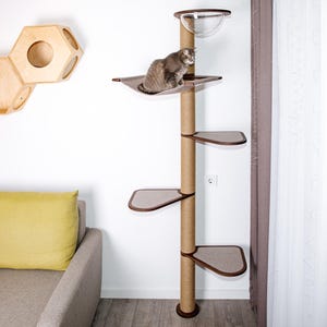 May include: A tall cat tree with multiple levels, including a hammock and platforms. The cat tree is made of natural-colored materials and has a clear dome at the top. A gray cat is resting on the hammock. Wooden honeycomb shelves are mounted on the wall.