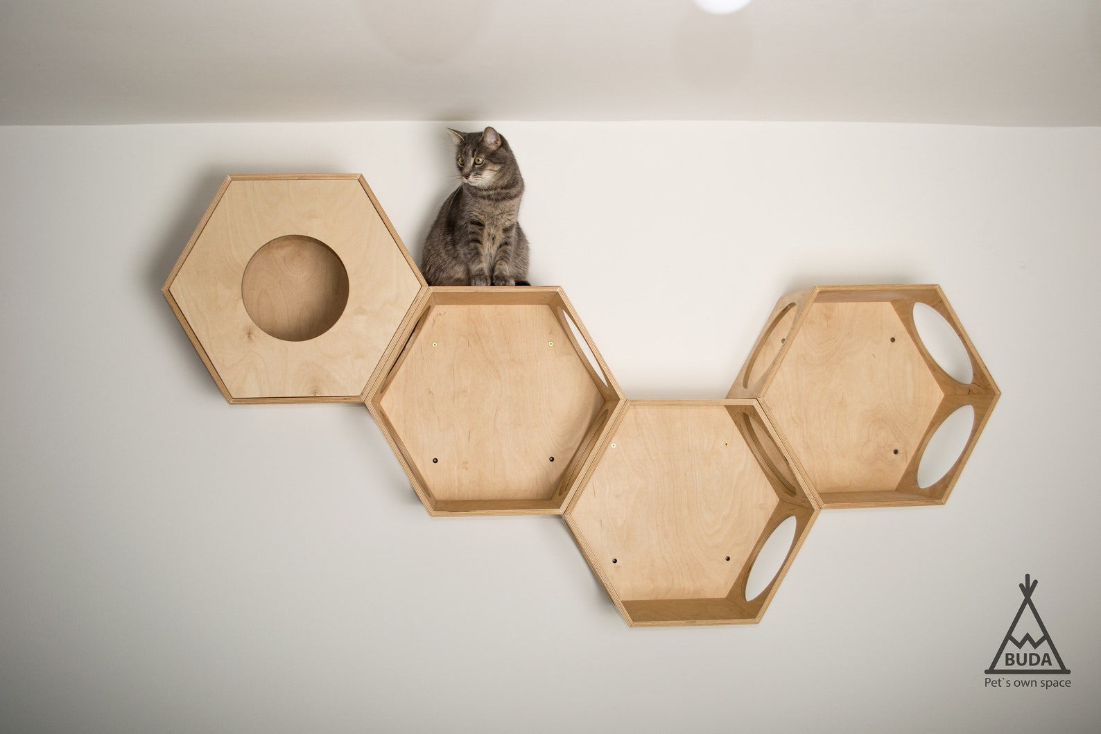 Closed Cat Hexagon Wall Cat Hexagon Shelves Hexagon Cat Etsy Canada