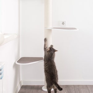 May include: A gray cat scratching a tall white cat tree with multiple platforms. The cat tree is in a corner of a room with white walls and a wood floor. The cat tree has a beige cushion on the top platform.