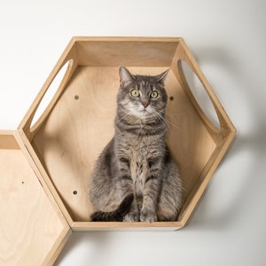 Hexagon Cat shelves for wall Cat house Cat tree Cat bed Wooden cat house Modern cat furniture Wall cat shelves Wall mounted cat shelf