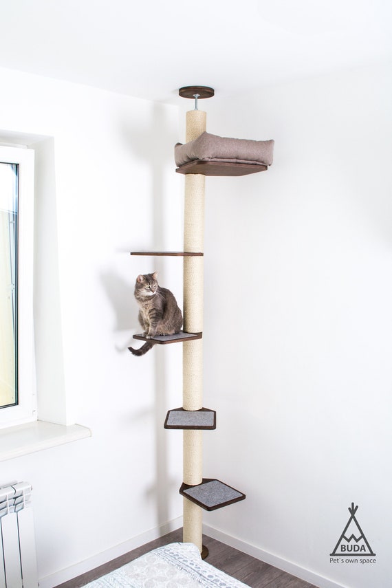 Cat climbing tree floor to ceiling 2025