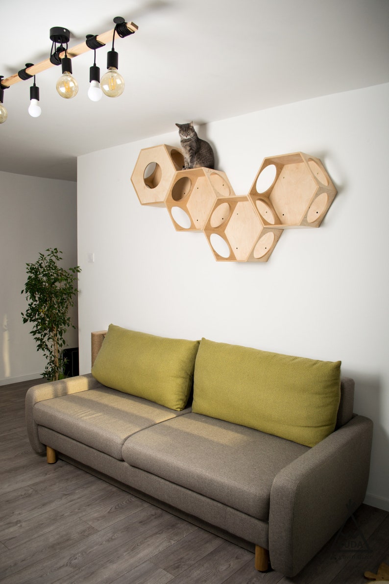 Closed Cat Hexagon Wall Cat Hexagon Shelves Hexagon Cat Etsy