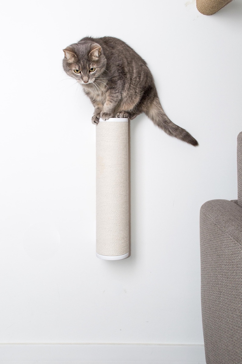May include: A gray tabby cat scratching a beige sisal scratching post mounted on a white wall. The scratching post is cylindrical and has a white base.