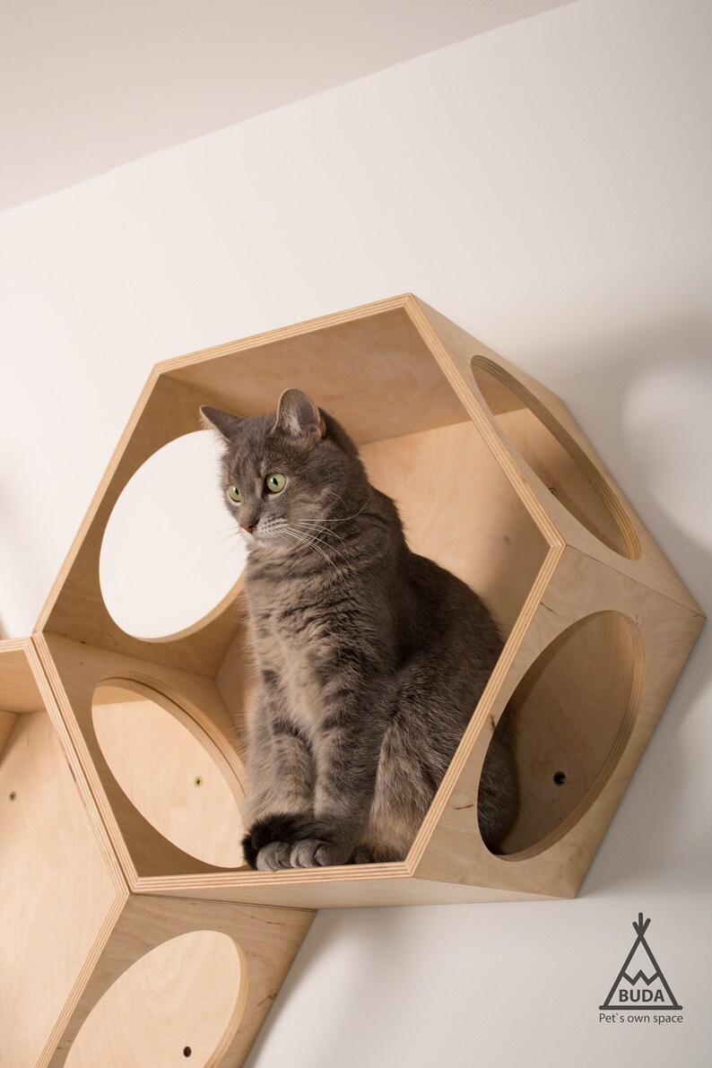 XL Hexagon cat shelf Wall cat bed Wall cat furniture Wall cat Etsy