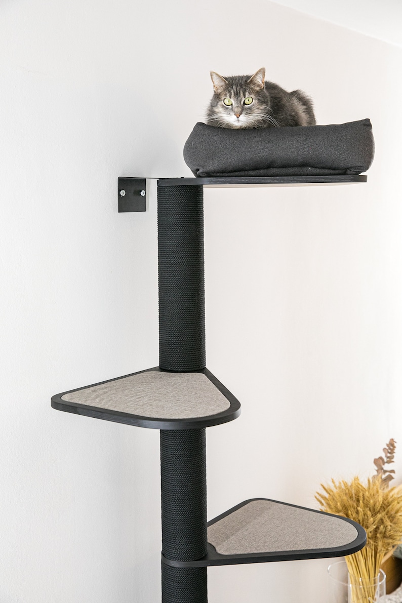 May include: A black cat tree with a gray cat sitting on the top platform. The cat tree has three platforms and a scratching post. The platforms are covered in a gray fabric.