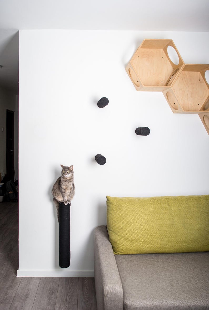 May include: A gray cat sitting on a black scratching post mounted on a white wall. The scratching post is made of sisal rope. There are three black round cat scratching posts on the wall. A light green couch with a gray cushion is in the background.