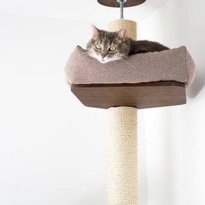 May include: A gray cat lounges on a beige cushioned bed atop a wooden cat tree. The cat tree is attached to the ceiling and features a sisal-wrapped post and a lower shelf. The cat tree is designed for indoor cats.