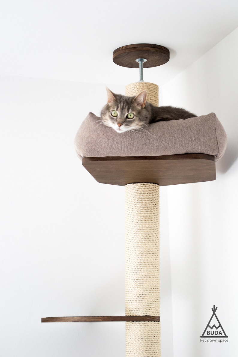 May include: A gray cat lounges on a beige cushioned bed atop a wooden cat tree. The cat tree is attached to the ceiling and features a sisal-wrapped post and a lower shelf. The cat tree is designed for indoor cats.