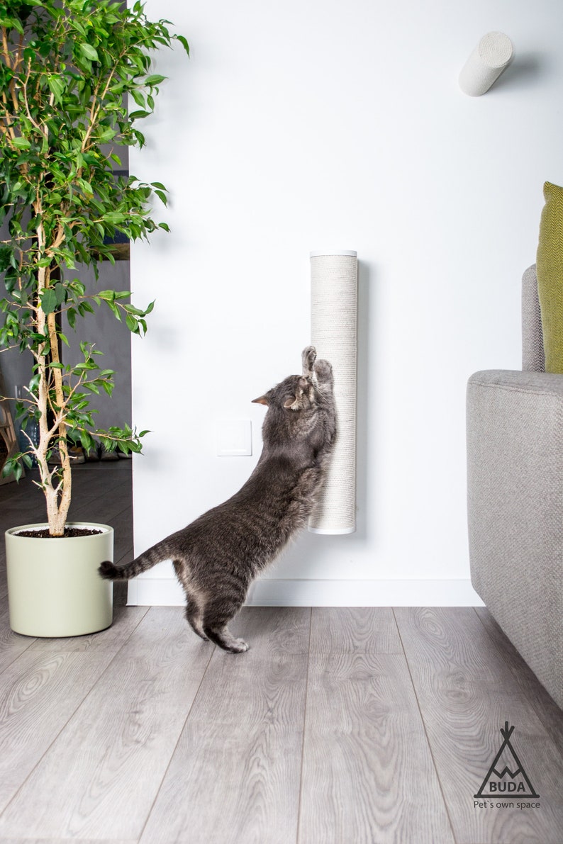 Pu&ograve; includere: Un gatto grigio che gratta un tiragraffi in sisal beige montato su una parete bianca. Il tiragraffi &egrave; alto circa 76 cm. Il gatto &egrave; in piedi su un pavimento in legno grigio chiaro.