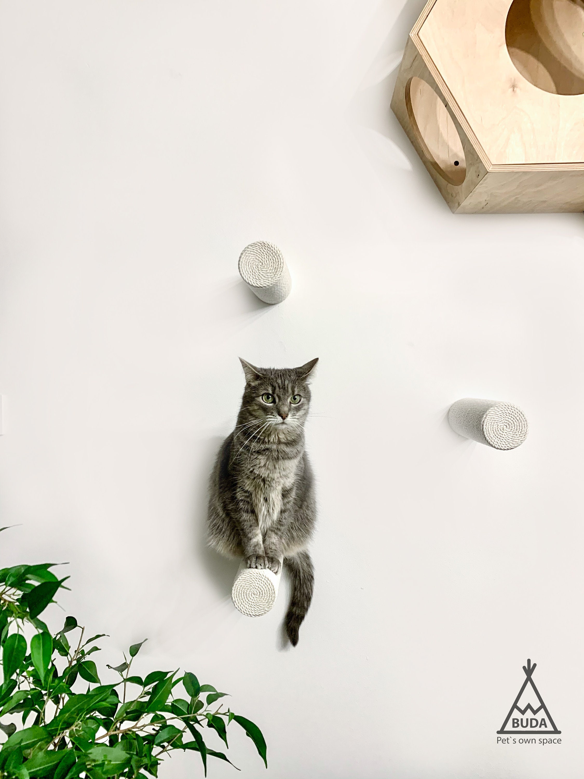Cat Stairs Cat Shelves Cat Climbing Steps Wall-mounted Cat - Etsy