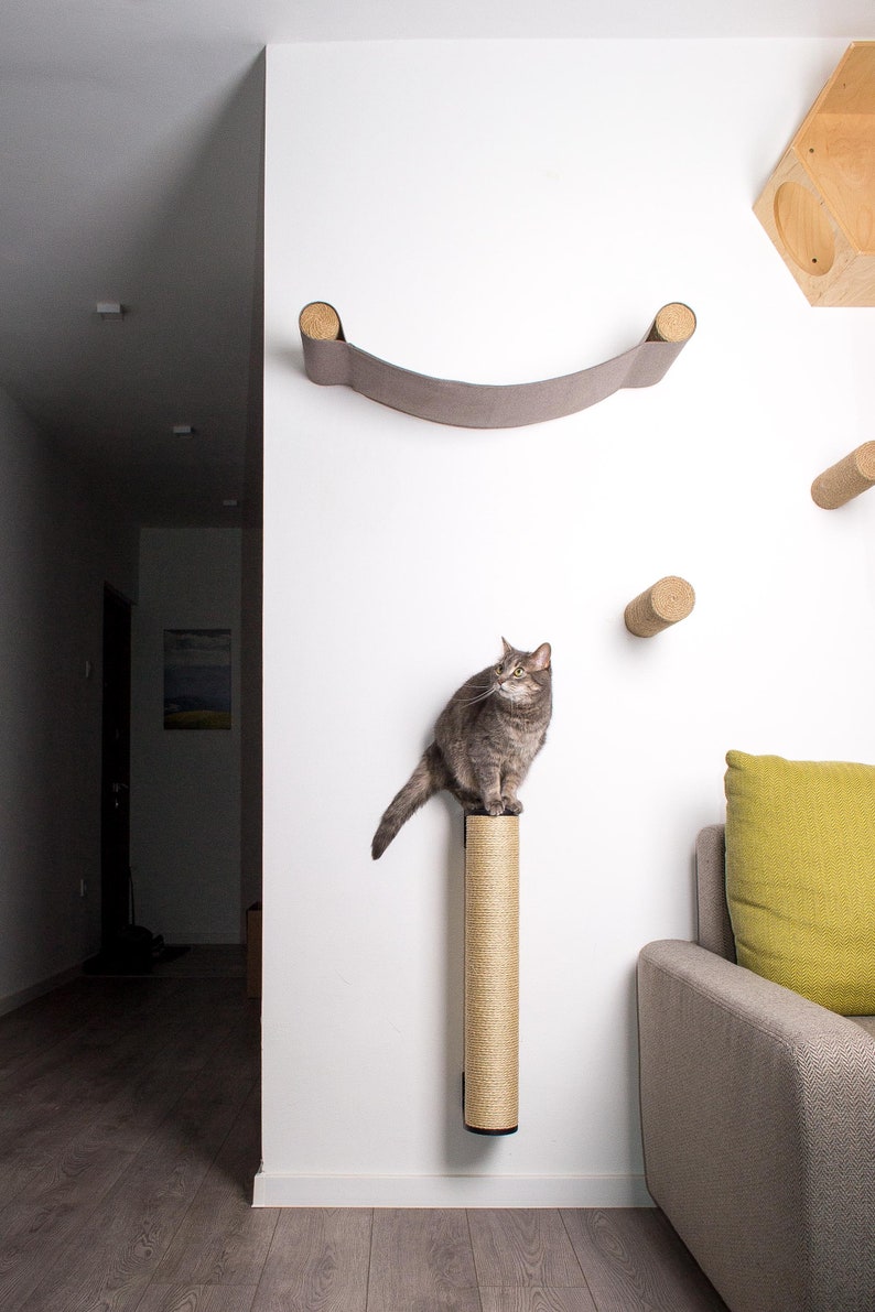 Pode incluir: Um gato tigrado cinza est&aacute; sentado em um arranhador bege montado em uma parede branca. O arranhador &eacute; feito de corda de sisal e tem uma forma cil&iacute;ndrica. H&aacute; uma rede cinza pendurada na parede acima do gato. O gato est&aacute; olhando para a direita da imagem.