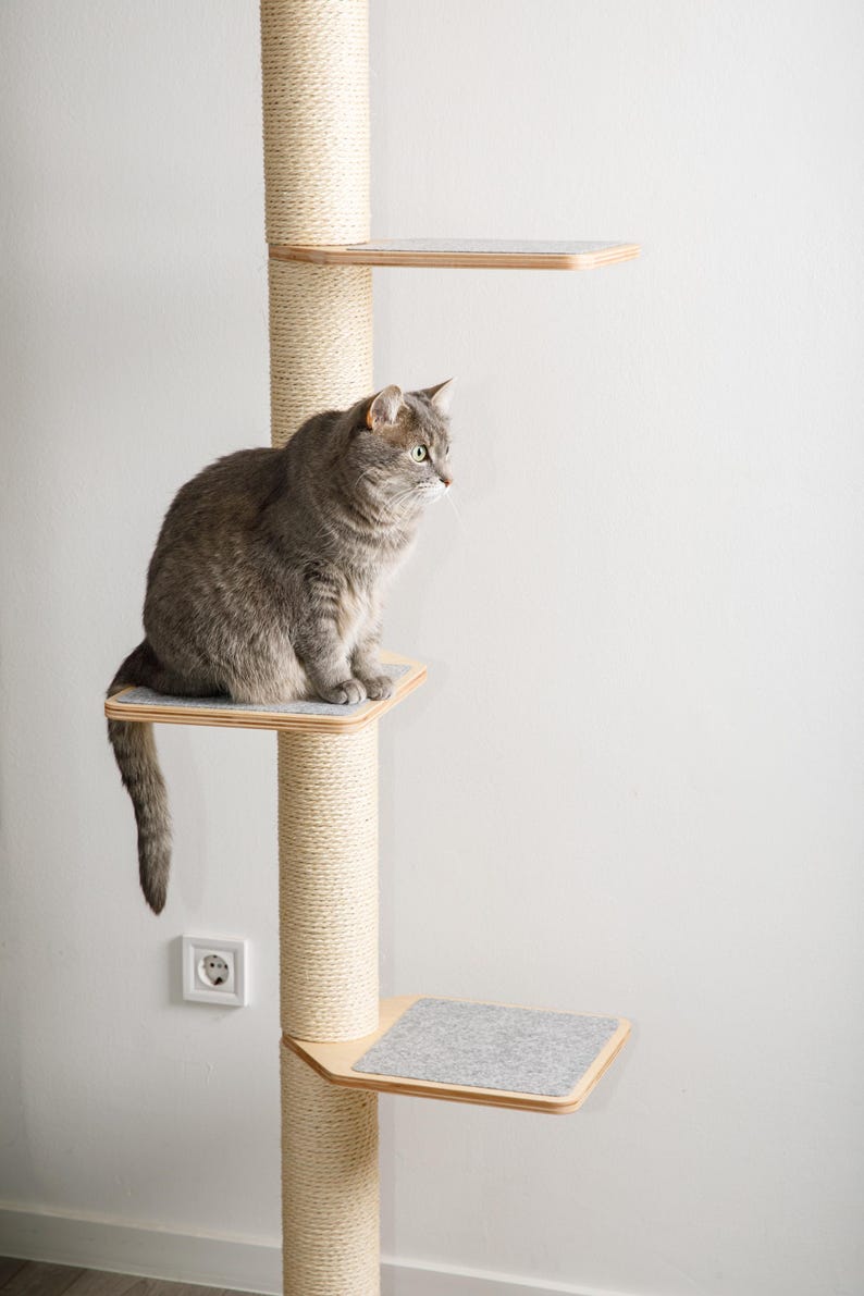 Cat Window Tree Insert Floor-to-ceiling Cat Tree, Customisable Cat Tower, Window Cat Tree ...