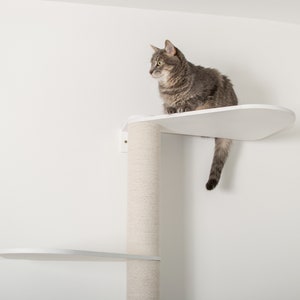 Puede incluir: Un gato atigrado gris se sienta en una plataforma de &aacute;rbol para gatos blanca. El &aacute;rbol para gatos tiene un poste blanco cubierto de cuerda de sisal y una segunda plataforma debajo de la plataforma superior. El &aacute;rbol para gatos est&aacute; montado en una pared blanca. El texto "BUDA Pet's own space" es visible en la esquina inferior derecha de la imagen.