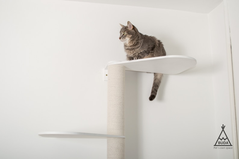 Puede incluir: Un gato atigrado gris se sienta en una plataforma de &aacute;rbol para gatos blanca. El &aacute;rbol para gatos tiene un poste blanco cubierto de cuerda de sisal y una segunda plataforma debajo de la plataforma superior. El &aacute;rbol para gatos est&aacute; montado en una pared blanca. El texto "BUDA Pet's own space" es visible en la esquina inferior derecha de la imagen.