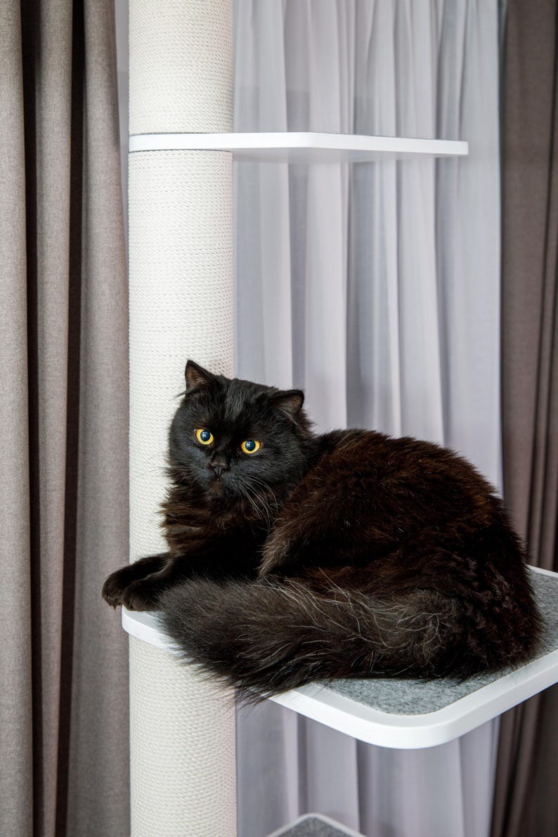 Cat Window Tree Insert Floor-to-ceiling Cat Tree, Customisable Cat Tower, Window Cat Tree ...