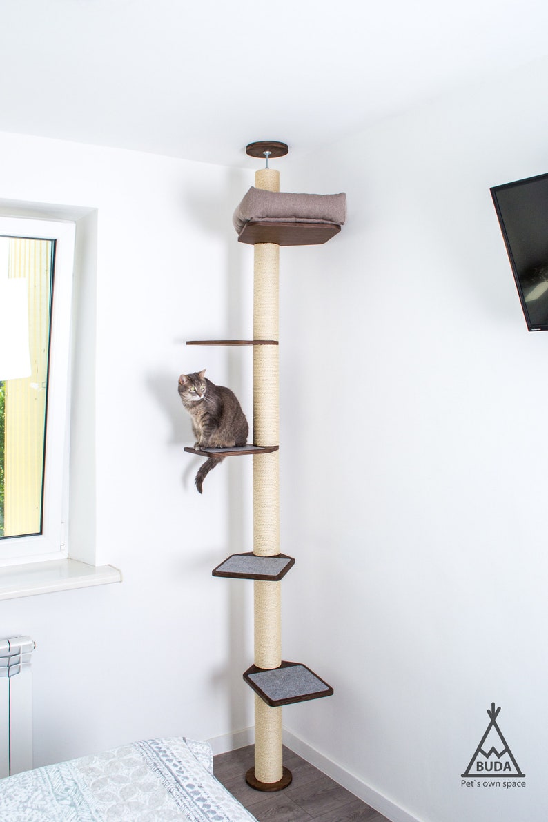 May include: A tall cat tree with multiple platforms and a cushioned top. The tree has a beige sisal-wrapped post with dark brown wooden platforms and accents. A gray tabby cat sits on one of the platforms. The tree is in a room with white walls.