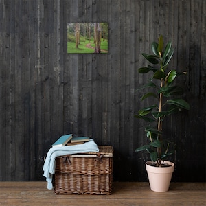 Rainbow Eucalyptus Forest - Hawaii Canvas