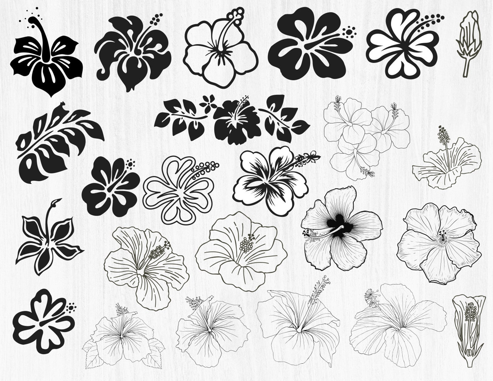 HIBISCUS SVG Bundle HIBISCUS Svg Plotterdateien für Cricut Etsy Schweiz