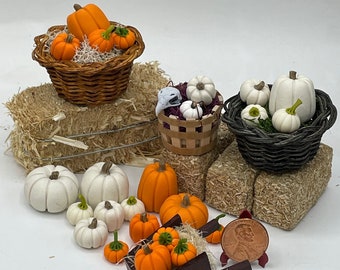 Miniature pumpkin baskets~mini pumpkins both white and orange in 3 sizes