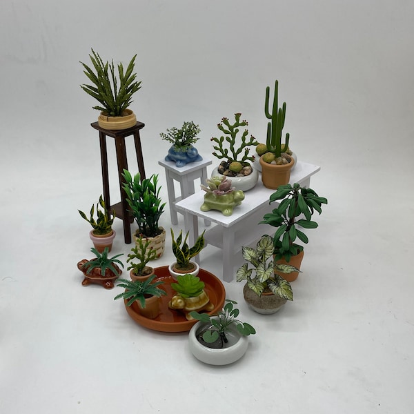 Miniature houseplant shop~Mini water garden~Mini cactus gardens~Mini Snake plants~Mini Umbrella plants~Mini assorted houseplants & planters