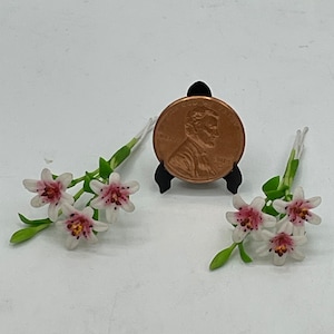 May include: Two miniature floral arrangements with white petals and pink speckles, accompanied by green stems and leaves. A penny is displayed on a black stand, providing a size reference. The flowers are delicate and detailed.