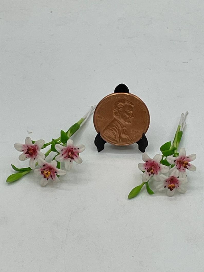 May include: Two miniature floral arrangements with white petals and pink speckles, accompanied by green stems and leaves. A penny is displayed on a black stand, providing a size reference. The flowers are delicate and detailed.