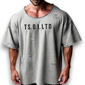 Pode incluir: Uma camiseta cinza, desgastada, de manga curta, com gola redonda e o texto "TS.01.LTD" estampado na frente.